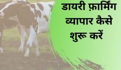 Dairy Farm Business Hindi
