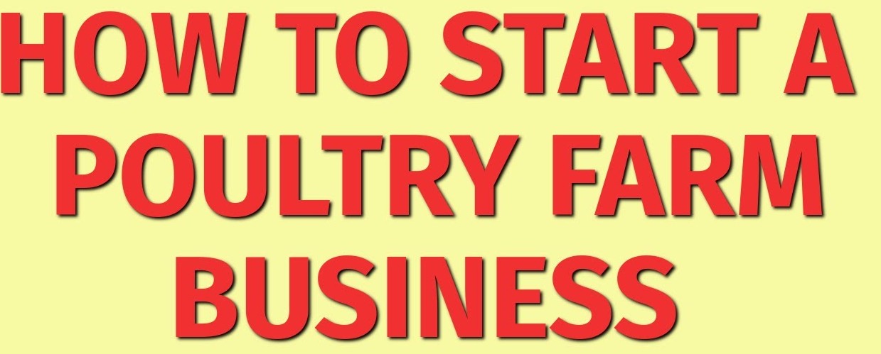 Poultry Farm Business Plan 2021 in Hindi