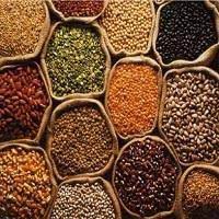 Dal Mill Business in Hindi