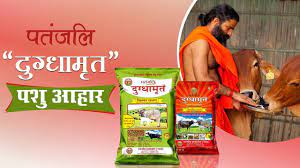 Patanjali Cattle Feed Distributorship Hindi