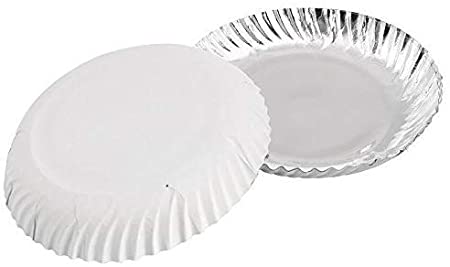 Paper Plate Manufacturing Business Hindi