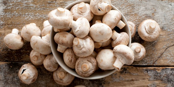Mushroom Farming Business Hindi